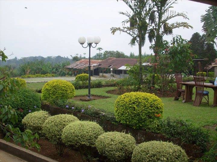 Jardin
