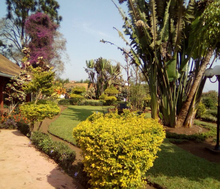 Jardin
