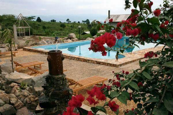 Jardin
