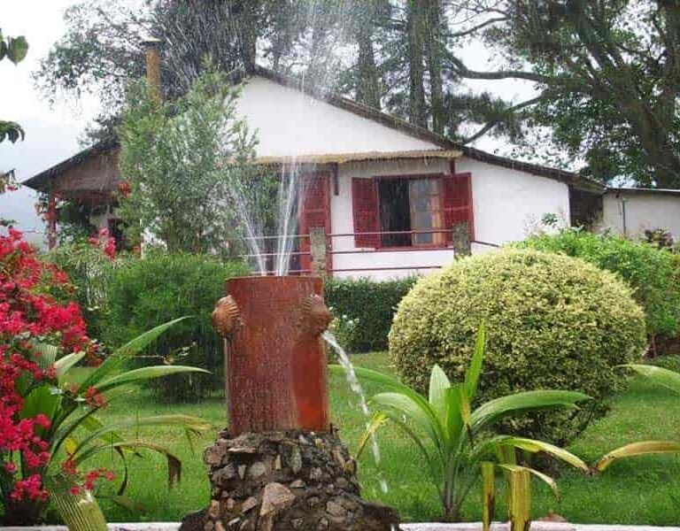 Jardin

